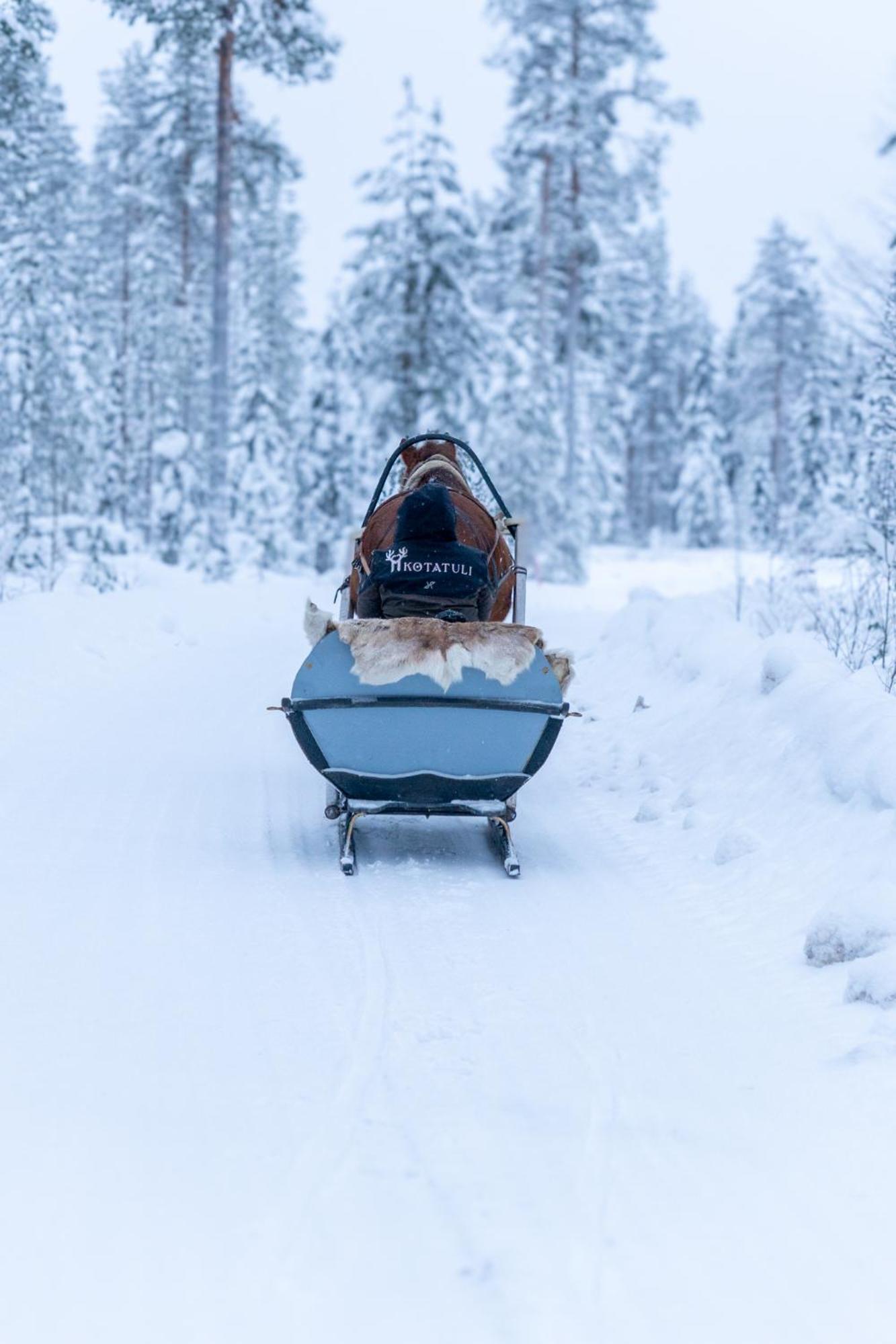 Kotatuli Forest Lodge Rovaniemi Esterno foto
