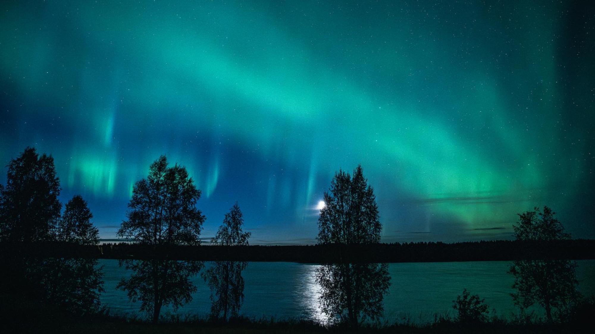 Kotatuli Forest Lodge Rovaniemi Esterno foto
