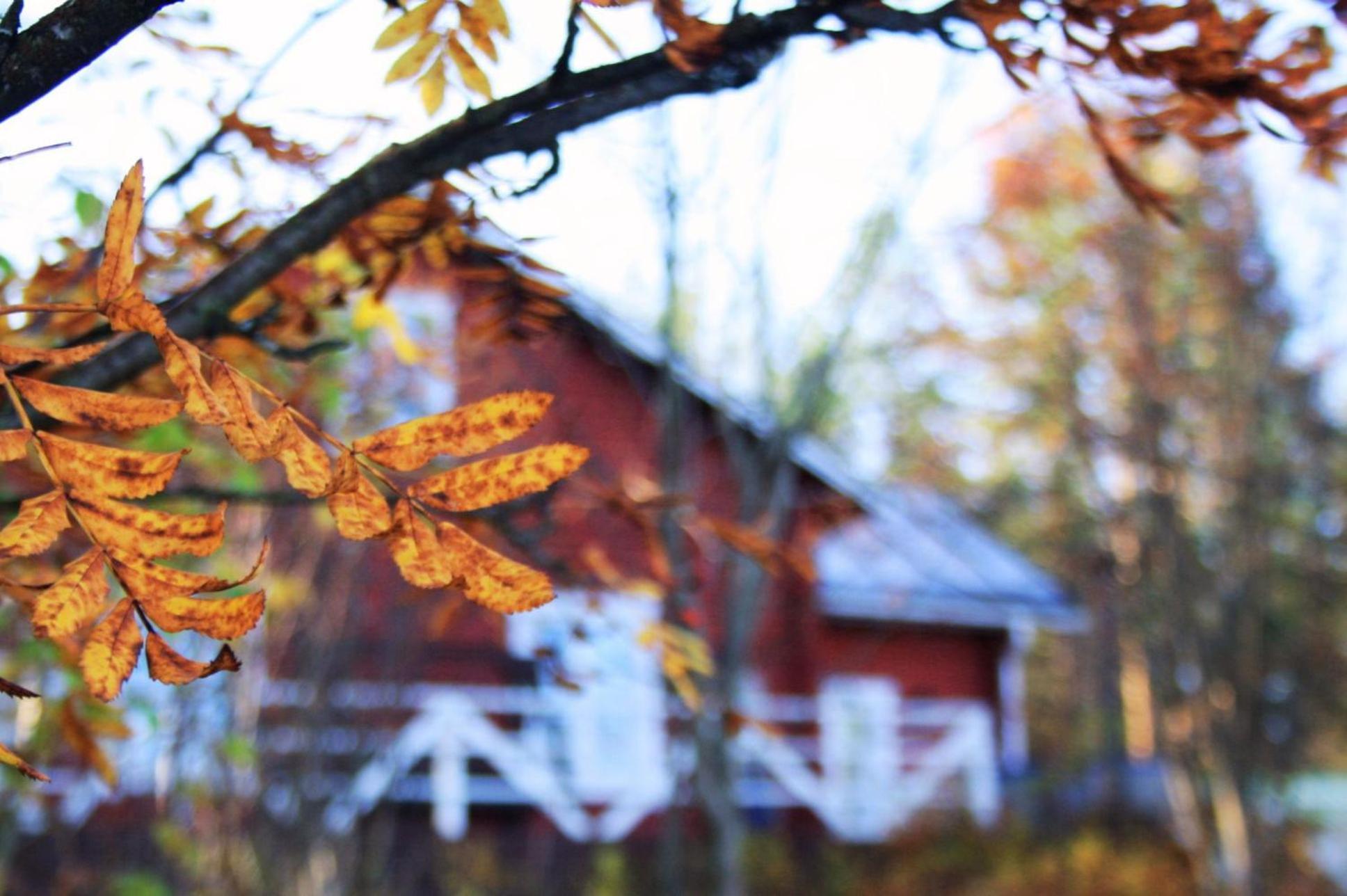 Kotatuli Forest Lodge Rovaniemi Esterno foto