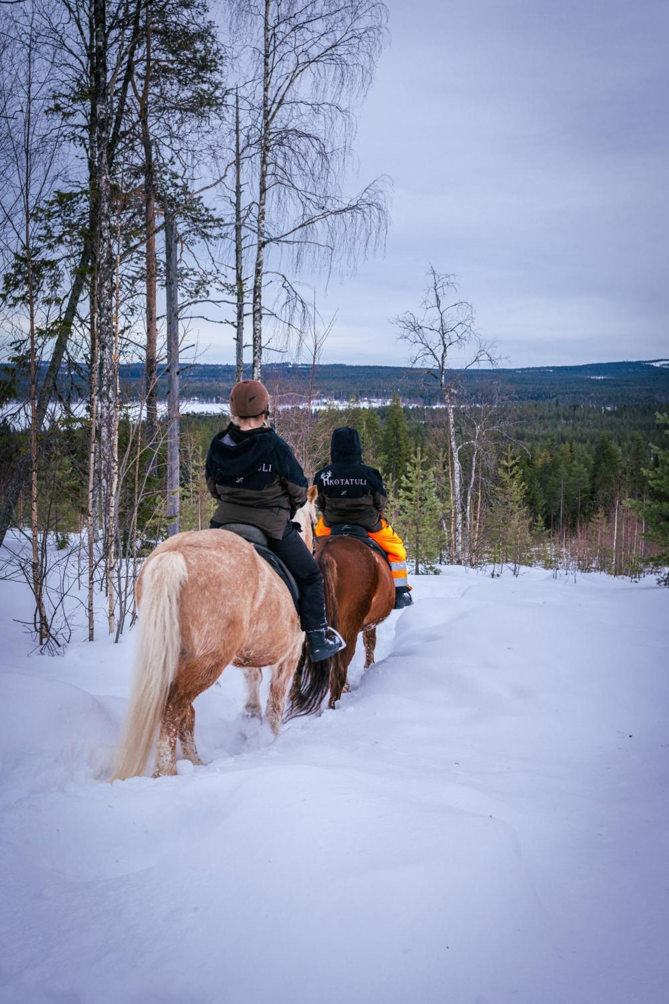 Kotatuli Forest Lodge Rovaniemi Esterno foto