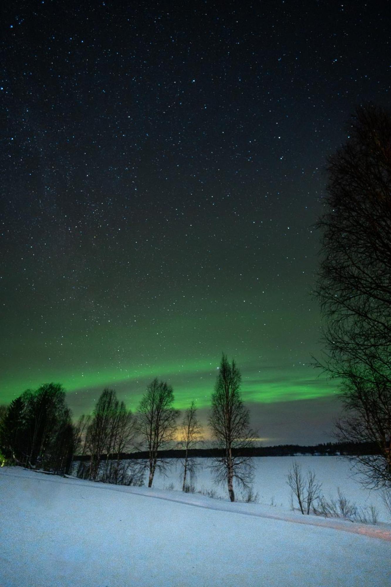 Kotatuli Forest Lodge Rovaniemi Esterno foto