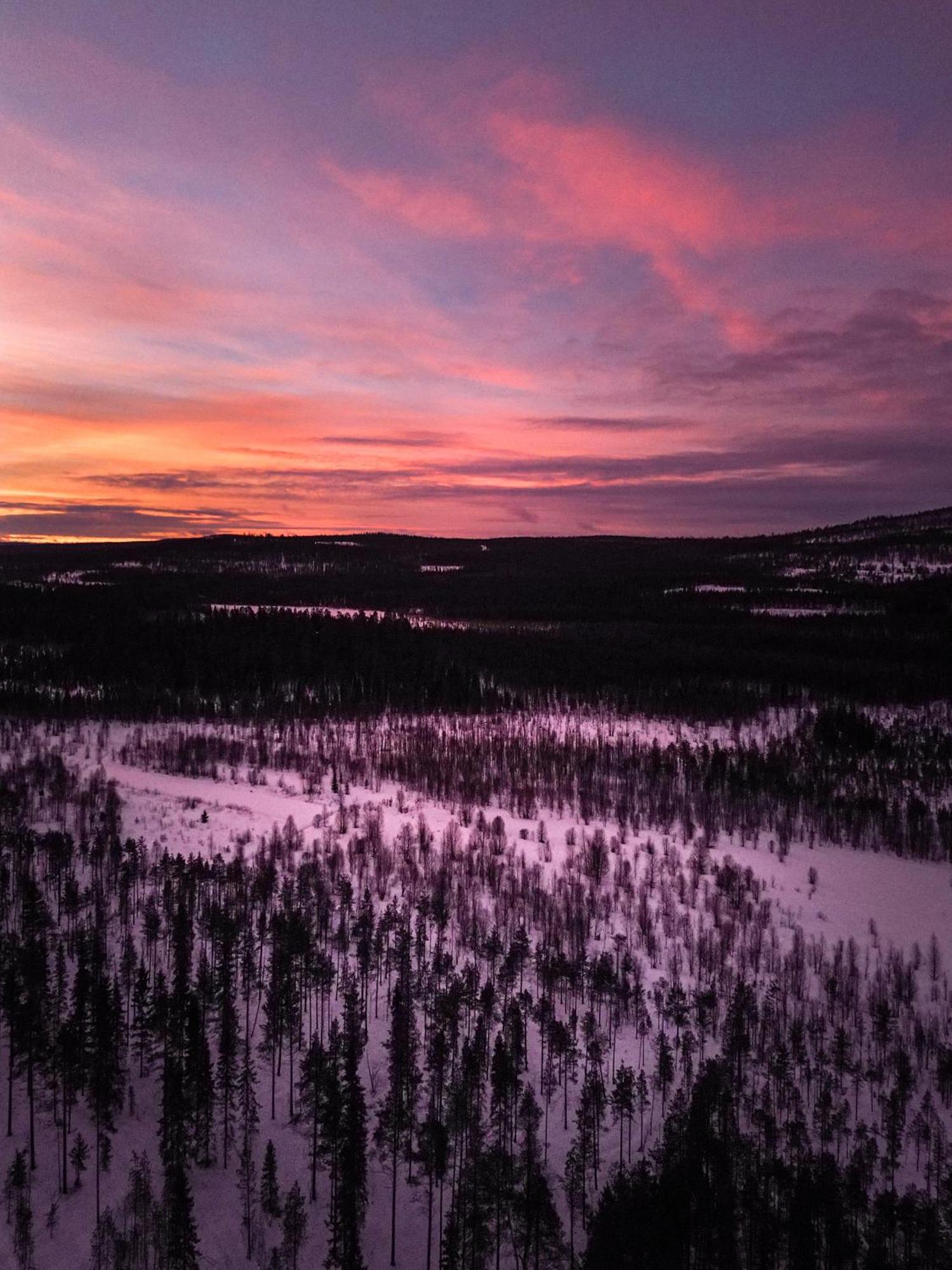 Kotatuli Forest Lodge Rovaniemi Esterno foto