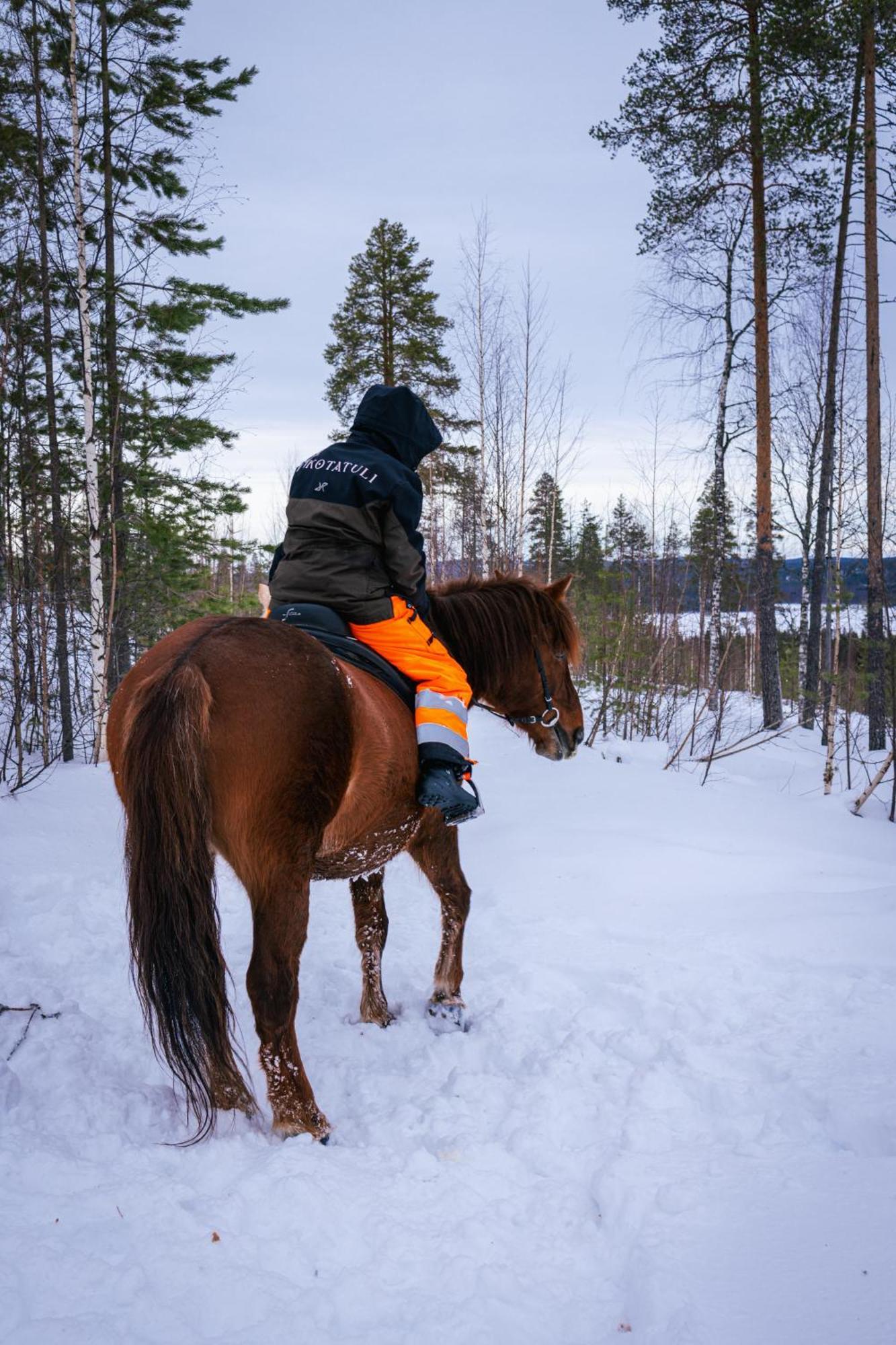 Kotatuli Forest Lodge Rovaniemi Esterno foto